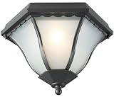 Arcadia Outdoor Light Ceiling Fixture in Architectural Bronze
