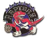 Toronto Raptors Logo Pin