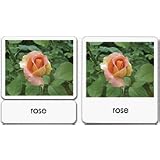 GardenFlowers3-PartReadingCards
