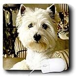 Dogs West Highland Terrier - Westie - Mouse Pads