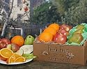Farm Fresh Fruit Collection