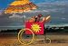 520-005 - Sausage dogs on hot dog stand - Judy Reinen Animals postcard