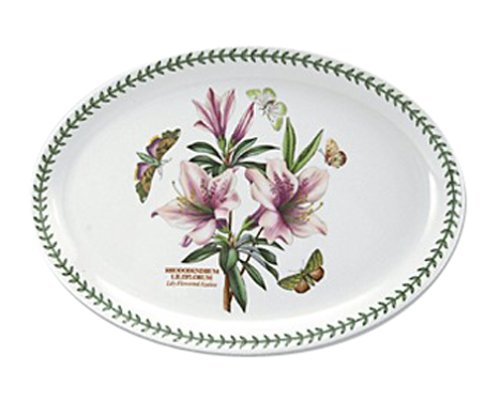 Portmeirion Botanic Garden Oval Steak Platter