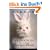 The Death of Bunny Munro