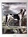 Mastiff by Georges-Louis Buffon. Art Print Poster 14 inches width by 18 inches height. Highest Quality Art Poster Print