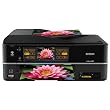 Epson Artisan 810 Wireless Touchscreen Color Inkjet All-in-One Printer (C11CA52201)
