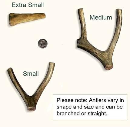 Antler Dog Chew From Pet Expertise, Extra Small 0.5 to 2 oz (2.5"-4" Long), 1 Piece