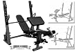EF Fitness International Olympic Weight Bench w/ Leg Extension & Preacher Curl EF-4424