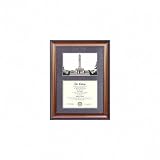 LSU Tigers Suede Mat Diploma Frame with Lithograph