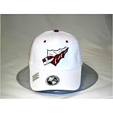 Florida State Seminoles One-Fit NCAA Cotton Twill Flex Cap (White)