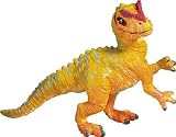 Baby Allosaurus