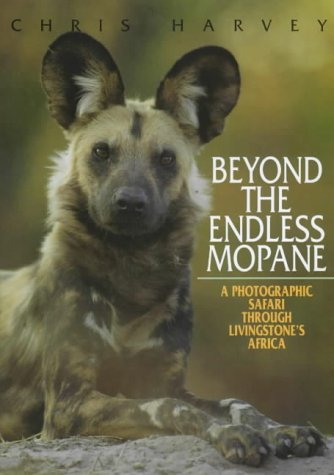 Beyond The Endless Mopane-Africa