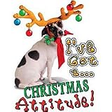 Christmas Attitude-C Adult Sweatshirt