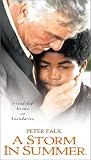 A Storm in Summer by Showtime Ent.