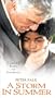 A Storm in Summer [VHS]