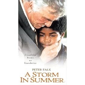 A Storm in Summer [VHS]