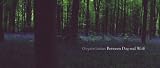Chrystel Lebas: Between Dog and Wolf