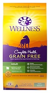 Wellness Complete Health Natural Grain Free Dry Dog Food, Lamb, 24-Pound Bag