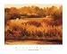 Sumach Creek - Diann Haist Art Print Poster 30 x 24