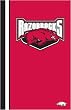Arkansas Razorbacks Ultrasoft Blanket - NCAA College Athletics