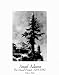 Ansel Adams The Mural Project Unkown Peak Art Poster Print - 16 X 20