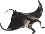 Safari LTD Monterey Bay Manta Ray