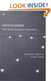 Consciousness: How Matter Becomes Imagination (Penguin Press Science)