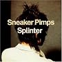 Splinter