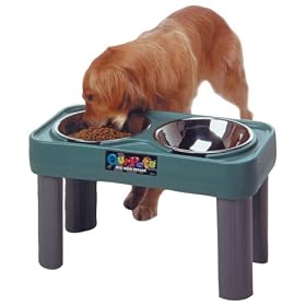 The Big Dog Feeder - 16 in. Teal