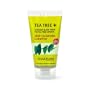 Tisserand Tea Tree + Deep Cleansing Shampoo