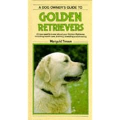 A Dog Owner's Guide to Golden Retrievers