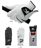 �L���X�R SF-717R �S���t�O���[�u