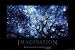 Imagination Collections Poster Print, 36x24