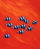 10 Black-Tailed Humbugs by Keith Siddle 11 x 14  Canvas Art