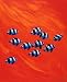10 Black-Tailed Humbugs by Keith Siddle 11 x 14  Canvas Art
