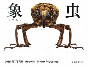 象虫:マイクロプレゼンス―小檜山賢二写真集