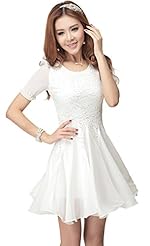 Knee Length Short Floral Print Chiffon Puff Sleeves Round Neck Pleated Lace Embroidered Shift  Dress