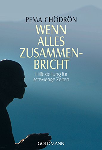 Wenn alles zusammenbricht: Hilfestellung für schwierige Zeiten (German Edition)