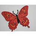 Schmetterling Schmetterlinge Butterfly Tier AUFN�HER APPLIKATION B�GELBILD PATCH