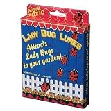 Outdoor Living : Lady Bug Lures