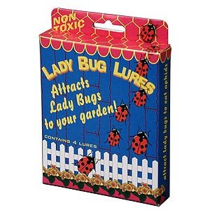 Childrens Toyshop  Tools & Hardware : Lady Bug Lures