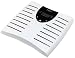 Kitchen & Housewares : HoMedics SC-505 Body Fat Analyzer And Scale