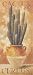 Cereus by Pascal Cessou. Size 12.25 inches width by 27.75 inches height. High Quality...