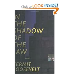 In the Shadow of the Law: A Novel