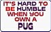 It's hard to be humble when you own a Pug 11 oz. White Mug