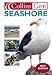 Book Seashore (Collins Gem)