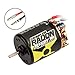 Associated 27424 Reedy Radon 2 Crawler 16T 5-Slot 1850kV BR Motor