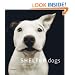 Shelter Dogs
