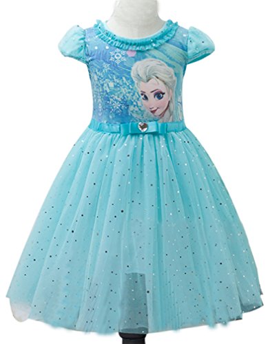 Eyekepper Kids Children Girls Cartoon Elsa Princess Cosplay Mesh Bubble Dress