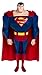 Search : Justice League DC Super Heroes 10